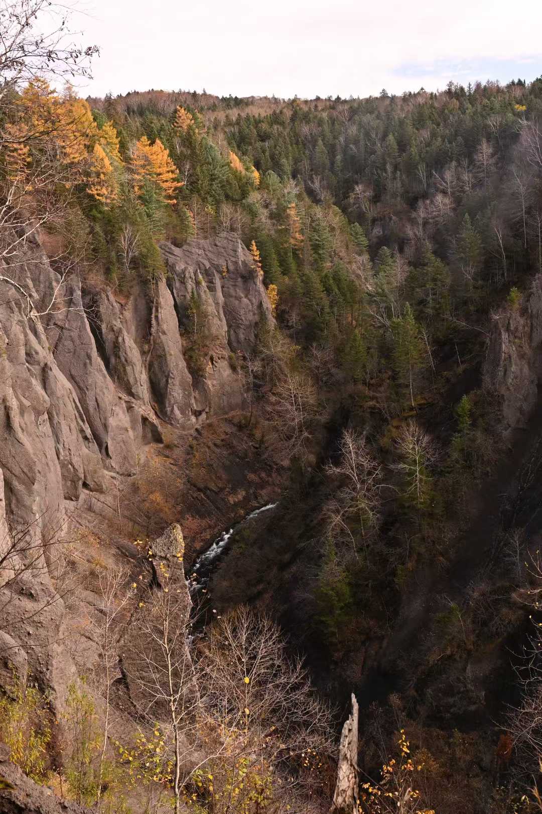 A narrow gorge falling toward a green mountain valley