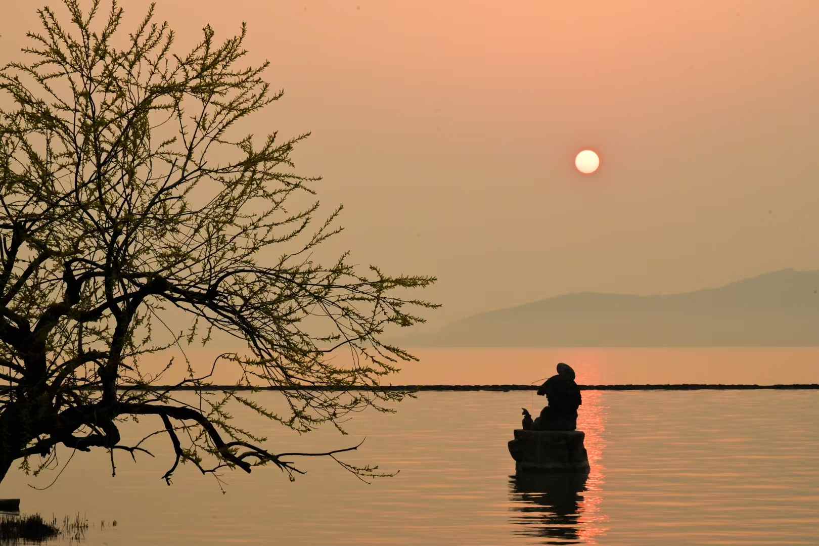 A boat and crescent moon held inside a dark lattice of branches