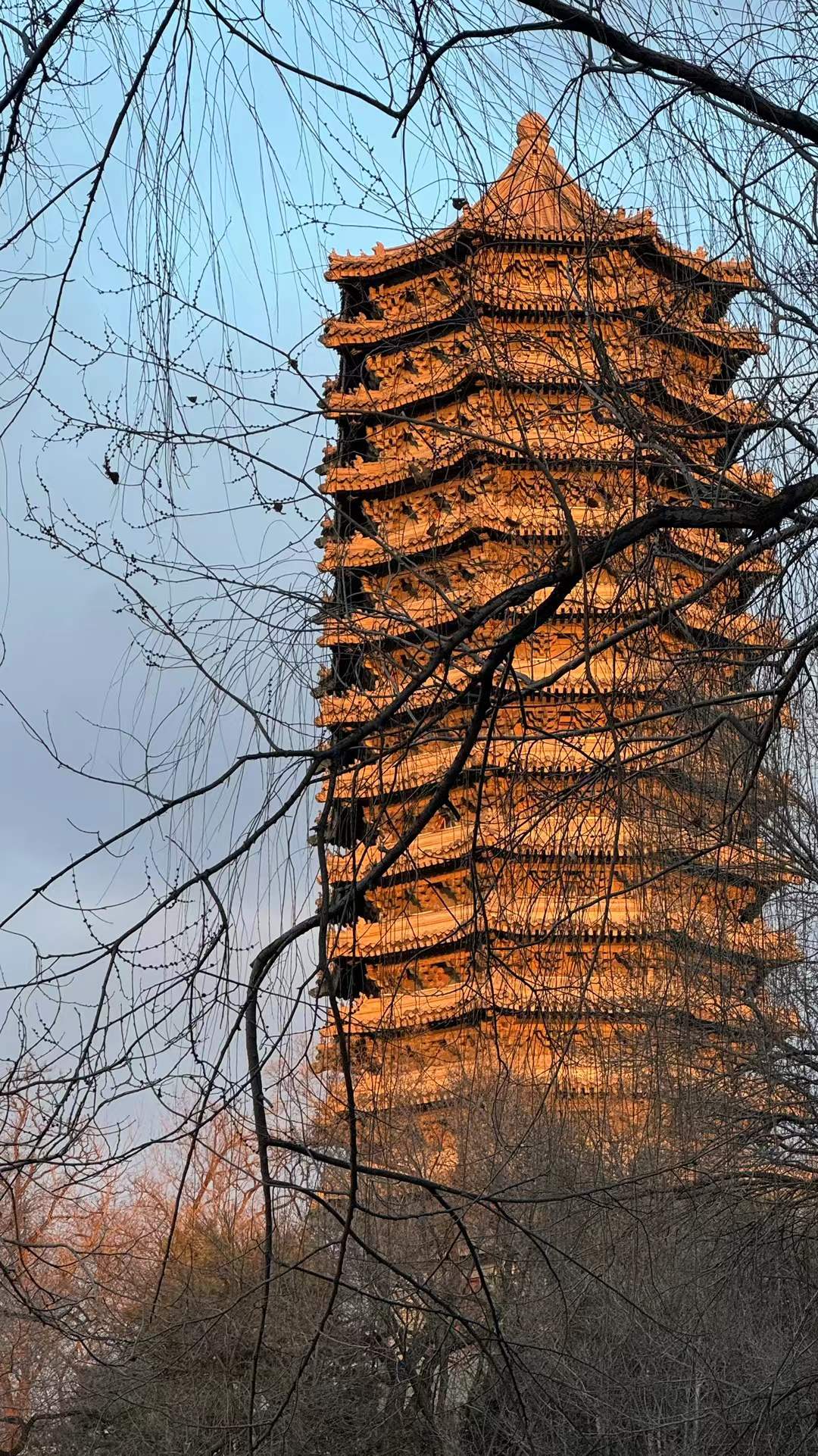 An illuminated pagoda rising between dark branches