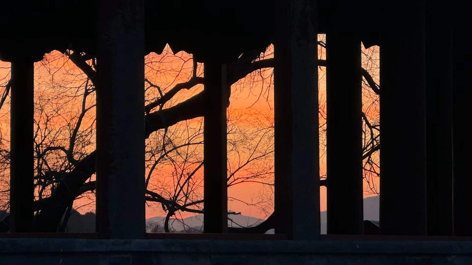 A coral sunset seen through monumental dark columns